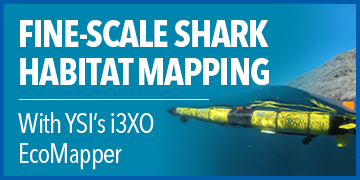 Fine-Scale Shark Habitat Mapping with an AUV